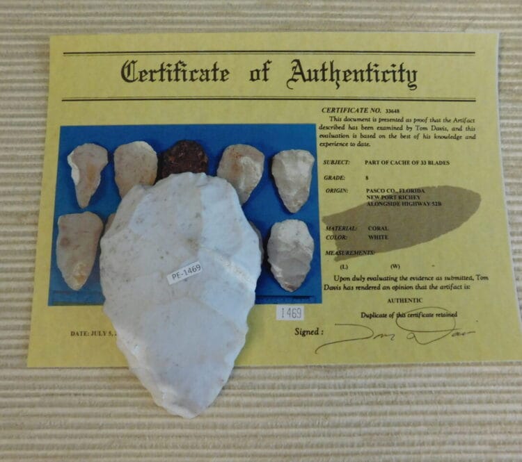 Authenticated Native American Fossil Coral Preform/Blade COA