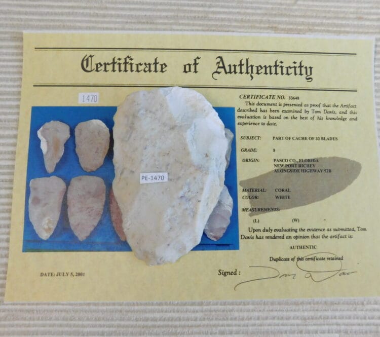Authenticated Native American Fossil Coral Preform/Blade COA
