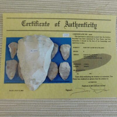 Authenticated Native American Fossil Coral Preform/Blade COA
