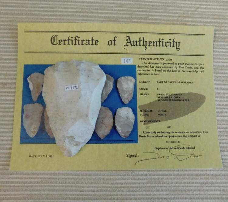 Authenticated Native American Fossil Coral Preform/Blade COA