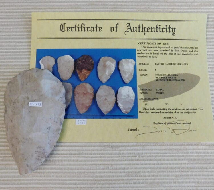 Authenticated Native American Fossil Coral Preform/Blade COA