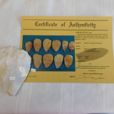 Authenticated Native American Fossil Coral Preform/Blade COA