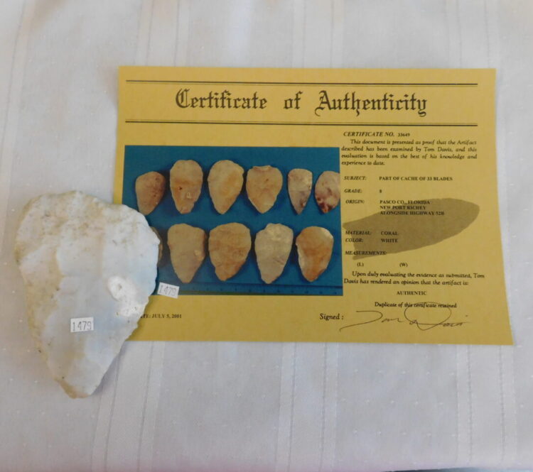 Authenticated Native American Fossil Coral Preform/Blade COA