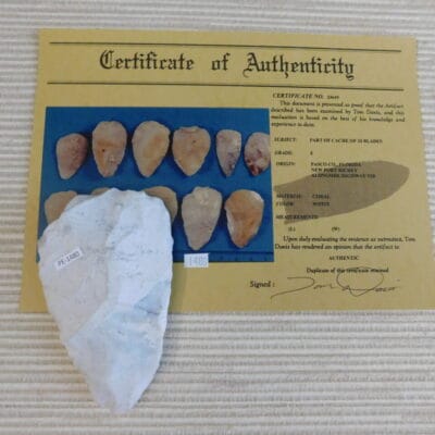 Authenticated Native American Fossil Coral Preform/Blade COA