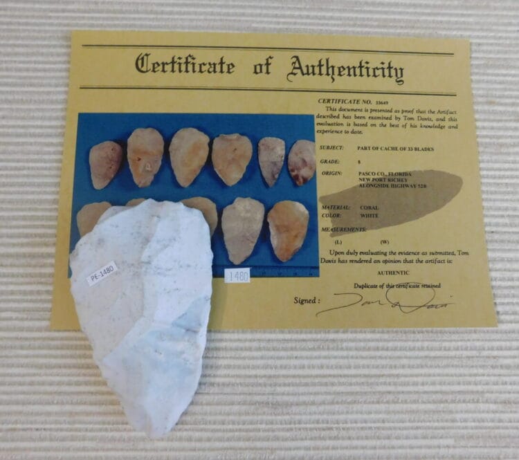 Authenticated Native American Fossil Coral Preform/Blade COA