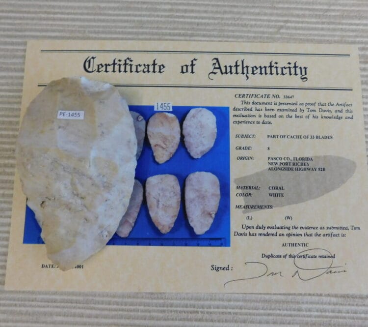 Authenticated Native American Fossil Coral Preform/Blade COA