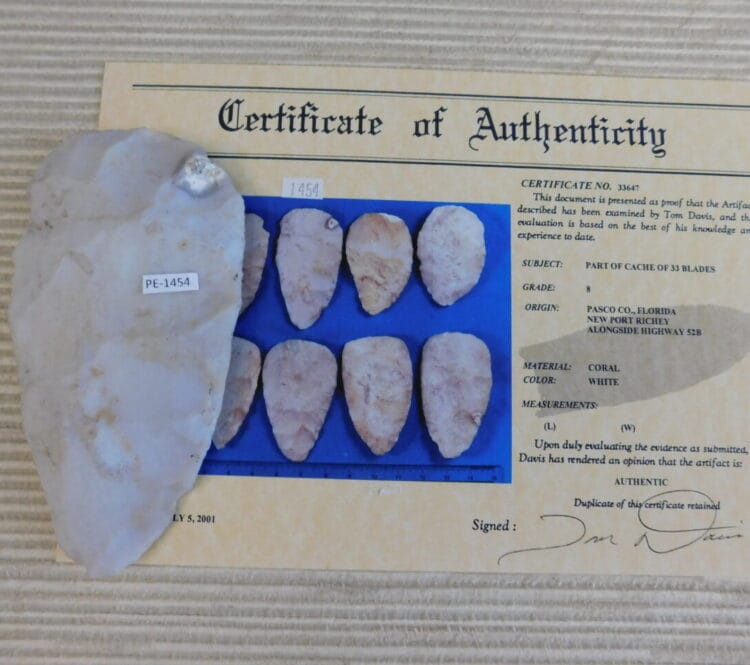 Authenticated Native American Fossil Coral Preform/Blade - COA
