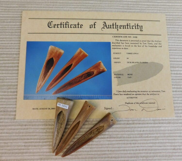 Certified Authentic Native American Artifact: 3 Awls-COA