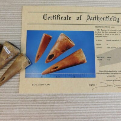 Certified Authentic Native American Artifact: 3 Projectile Points-COA