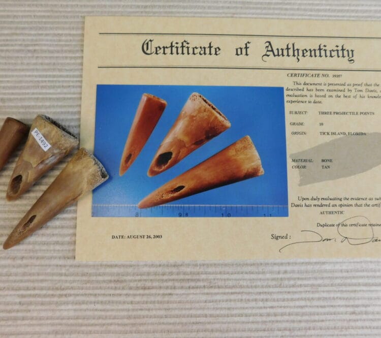 Certified Authentic Native American Artifact: 3 Projectile Points-COA