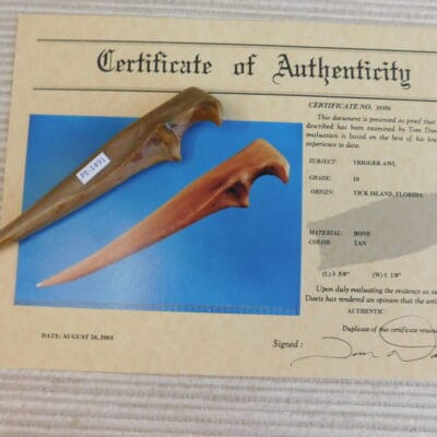 Certified Authentic Native American Artifact: Trigger Awl-COA included