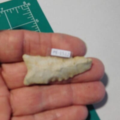 Greenbrier type Arrowhead