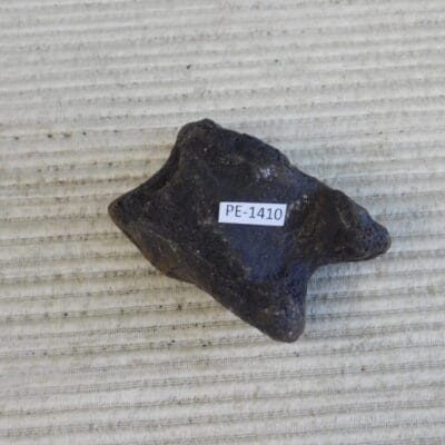 Pleistocene Camel Astragalus Fossil – Ice Age Florida