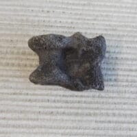 2026-06-03 12.20.41