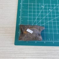 2026-06-03 14.06.58