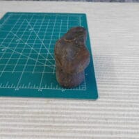 2026-06-03 14.07.27