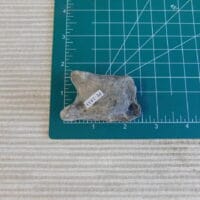 2026-06-04 10.47.30