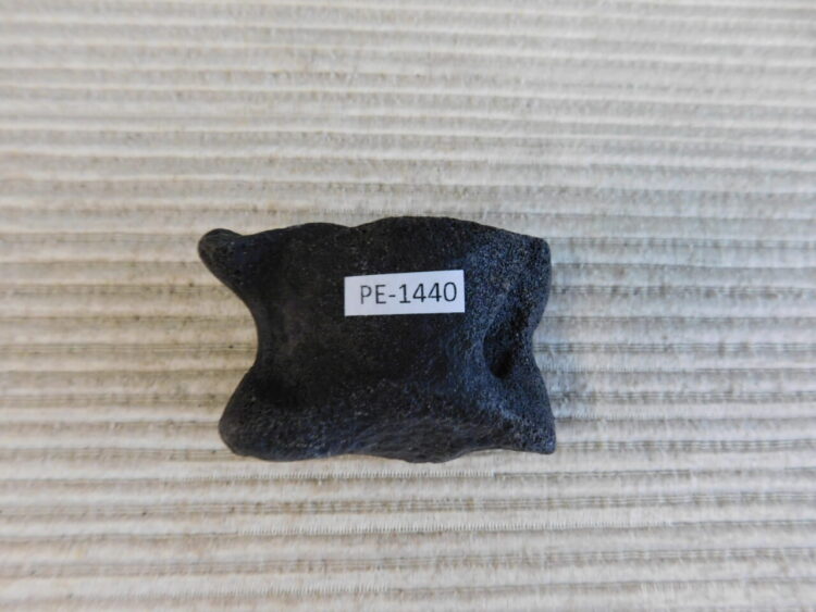 2026-06-04 11.22.41