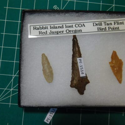 Rabbit Island / Oregon  type  Artifact COA BJ