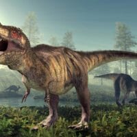 Tyrannosaurus-rex-Dinosaur Tyrannosaurus-rex-Dinosaur